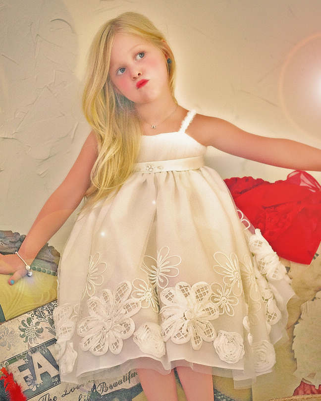 Soft Tulle Floral Embroidered Empire Waist Dress